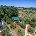 Eco Lavanda Funtana