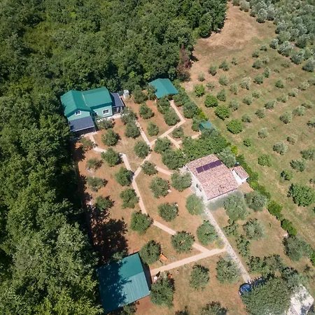 Holiday home Eco Lavanda *