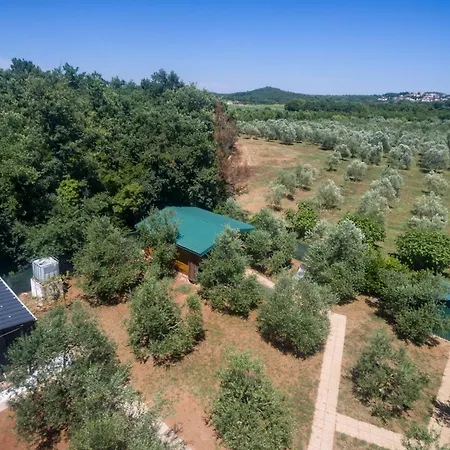 Eco Lavanda Funtana